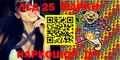 крисы Сланцы