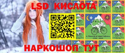 крисы Сланцы