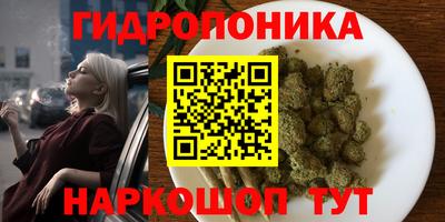 стаф Славянск-на-Кубани