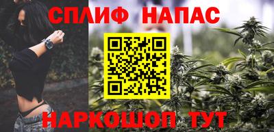 крисы Сланцы