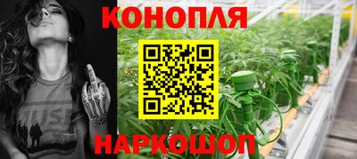 винт Славгород