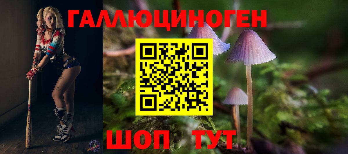 Галлюциногенные грибы Magic Shrooms  Вход с VPN  сколько стоит  Электрогорск 